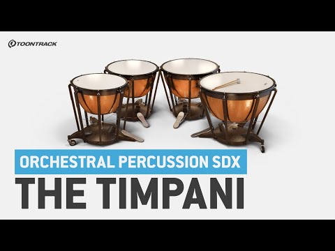 Orchestral Percussion SDX: The Timpani