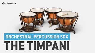 Orchestral Percussion SDX: The Timpani