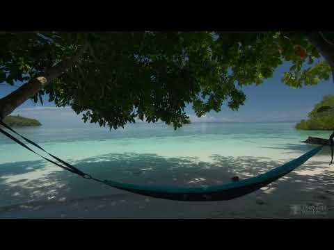 4K HDR Tropical Beach - Gentle Ocean Wave Sounds - Peaceful Wild Island - Relaxing Nature Video