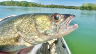 I Caught a GIANT while Walleye Fishing!