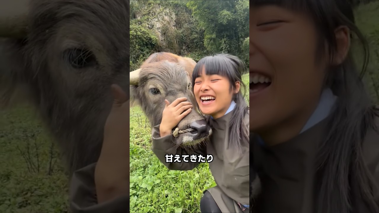 牛が家族になると起きること