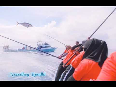 Neredhey Roadhi vayaa♥️❤️