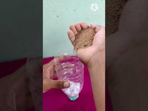 Filtering & drinking dirty water using plastic bottle | water purifier #scienceexperiment