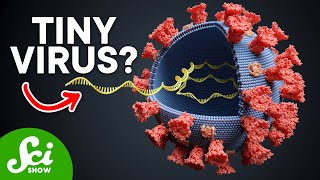 Viroids: Possibly the Smallest Pathogens on Earth