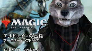 【MTGA】タミネコチャンネル・エルドレインの王権ブースタードラフト配信