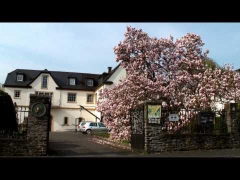 Bernkastel-Kues op der däitscher Musel - Museldall an Däitschland