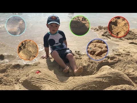 Joshy Destroys Sand Sculptures | Learn Animals and Objects