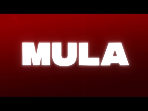 MULA Lyric video KidnelyRz ft Gskinnyy Foreigner