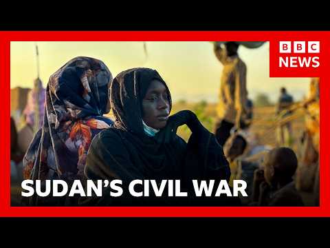 Sudan's RSF committed crimes against humanity in el-Fasher, Amnesty says | BBC News