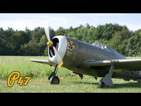 SOUND! - P47 THUNDERBOLT | WARBIRDACTION | 3DBros