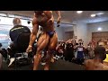 Muscle adoration in public show