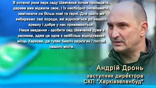 У Харкові висадили вдвічі більше дерев, аніж знесли