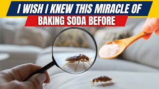 How To Use Baking Soda To Kill Bed Bugs?This is Amazing