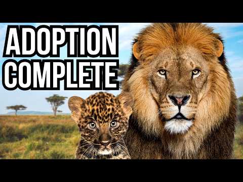 7 Times Wild Animals Adopted Other Species - Unexpected Families