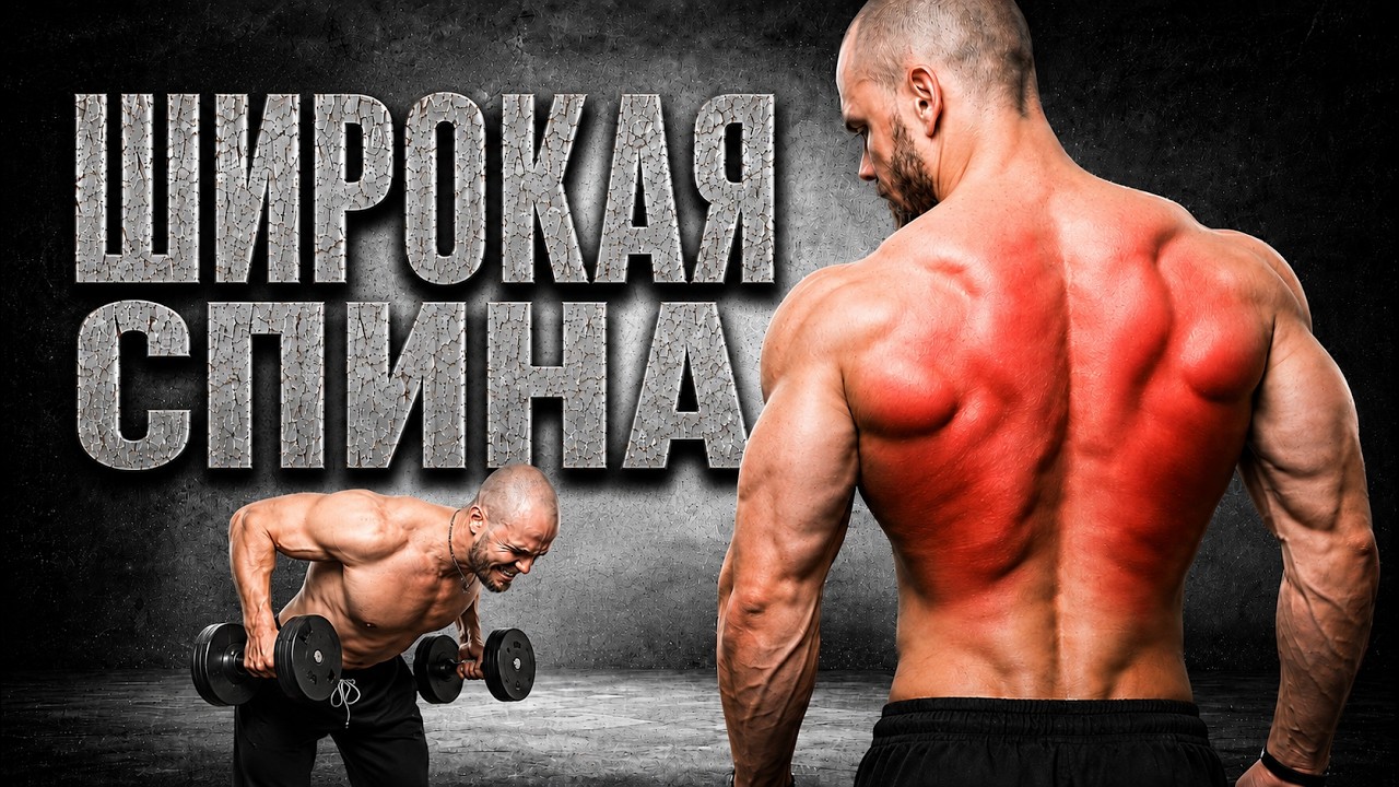 Широкая Спина с Гантелями | Строим Тело Аниме Героя 2