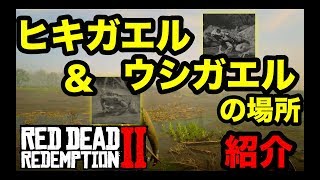 【攻略】レッドデッドリデンプション2  ヒキガエル & ウシガエルの最良の死骸の場所を紹介！【狩猟の依頼】