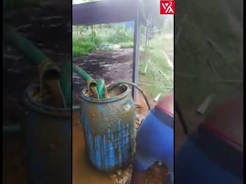 Cow Dung Dewatering System