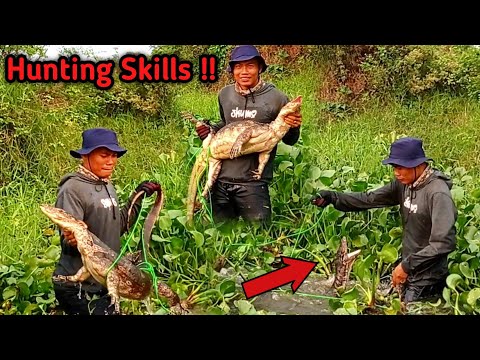 Full of Struggle to Catch Monster Lizards as Big as Komodo!!