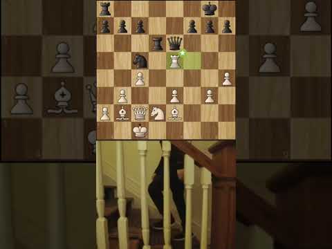 My Second Brilliant Move‼️