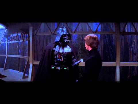 Quand Tu Manges Du Poulet....