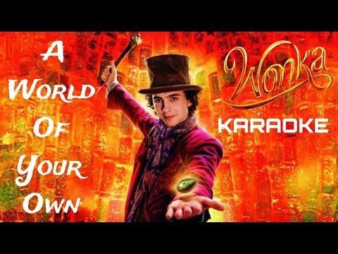 A World of Your Own KARAOKE instrumental (from "Wonka") Timothée Chalamet & The Cast Of Wonka
