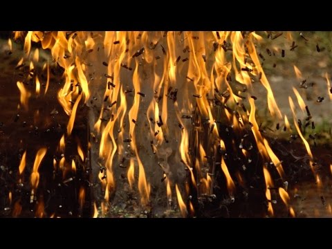 2500fpsでヘッド爆弾を一致させる - スローMoガイズ (Match Head Bomb at 2500fps - The Slow Mo Guys)