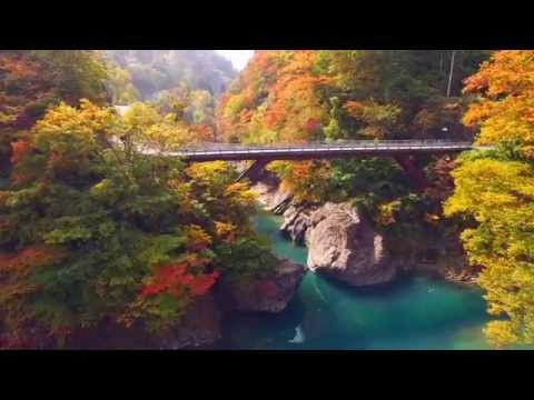【NIIGATA-SORADORI】日本の原風景　秘境秋山郷の紅葉　津南町