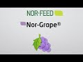 Nor Grape A Natural Solution To Compensate Oxidative Stress In Animals