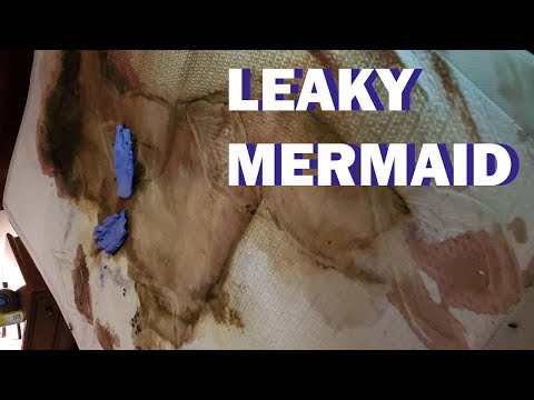 download lagu mp3 mp4 Deceased Estate Cleaning, download lagu Deceased Estate Cleaning gratis, unduh video klip Deceased Estate Cleaning