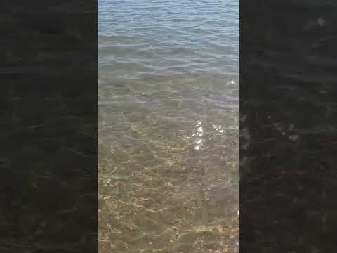 San Benedetto del Tronto Riviera della Palme #themarcheexperience