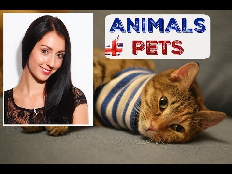 Shorter Version 250 Essential English Words PRONUNCIATION LESSON