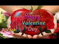 Valentine Day Video 14 February Special Valentine Day Status