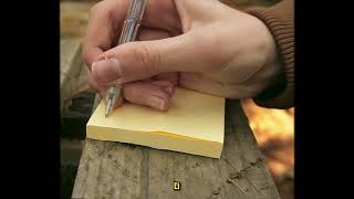 Трейлер превью