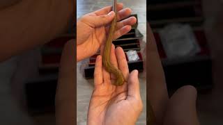 Download lagu My Current Harry Potter Wand Collection! mp3