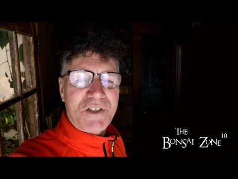 Bonsai Landscape Challenge, Part 1, The Bonsai Zone, Feb 2023