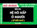 Bài 34. Hệ hô hấp ở người