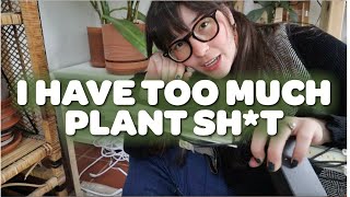 cleaning out the plant room! 🪴
