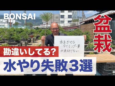 盆栽の水やり:よくある間違い トピックス