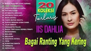 Download lagu Iis Dahlia Album Platinum  Lagu Dangdut Original Paling Dicari  Payung Hitam mp3
