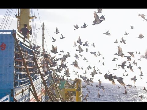 youtube image