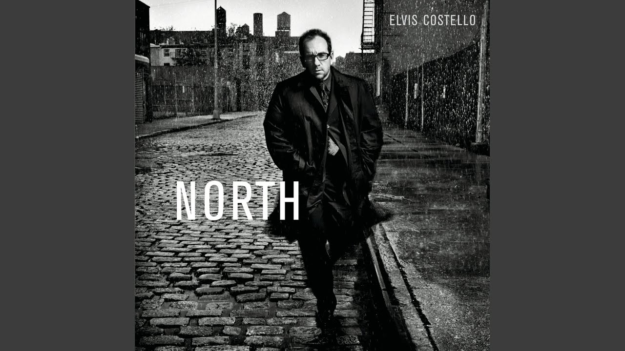 Elvis Costello - You Left Me in the Dark
