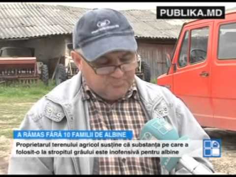 Tragedie pentru un apicultor din Teleneşti