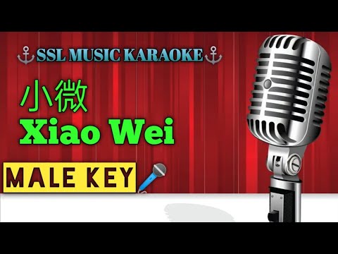 小微~ Xiao Wei 🎼🎼 karaoke (male 🎤)