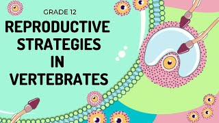 REPRODUCTION | Fertilisation and development strategies