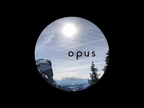 Jnt - The Body [OPUS001]