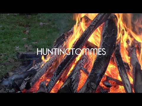 Drückjagd auf Rotwild und Sauen 2019