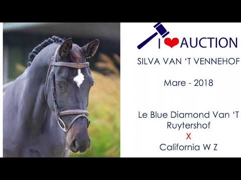 Silva Van't Vennenhof jumping