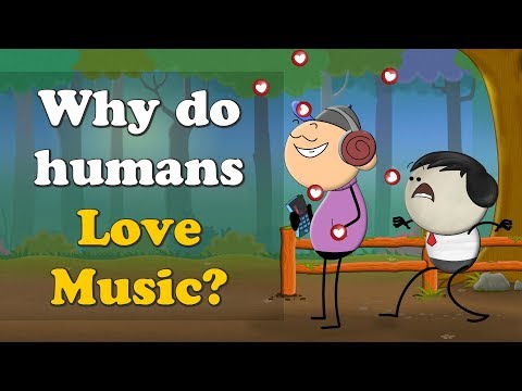 Why do humans Love Music? | #aumsum
