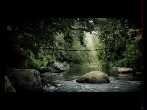 KAPIL RANA Rajnigandha...