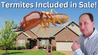 Should You Buy a House With Termites?